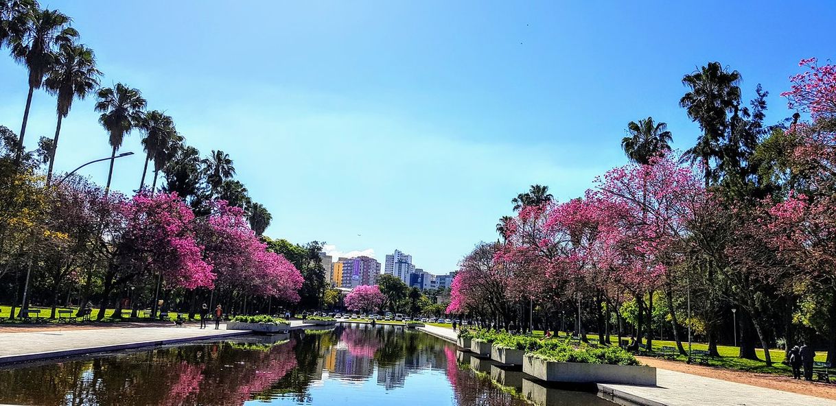 Lugar Parque Farroupilha (Redenção)