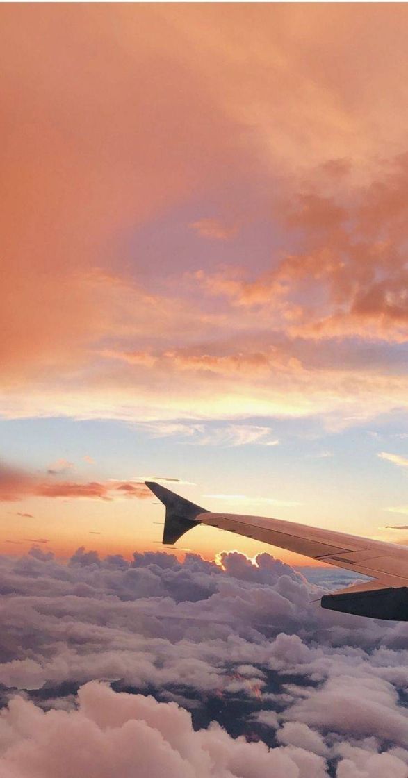 Social wallpaper Tumblr 😻