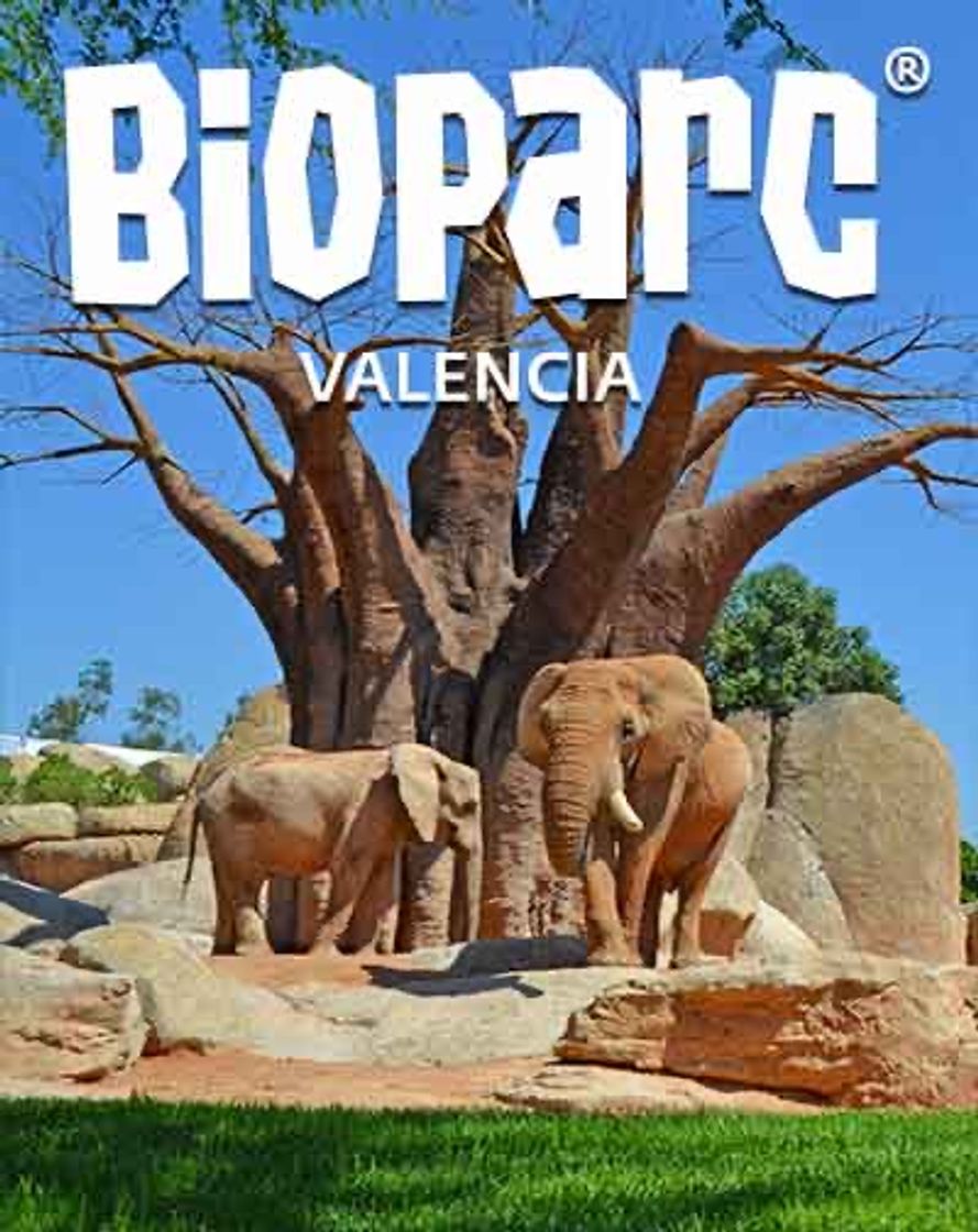 Place Bioparc Valencia