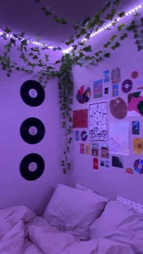 Quarto indie 