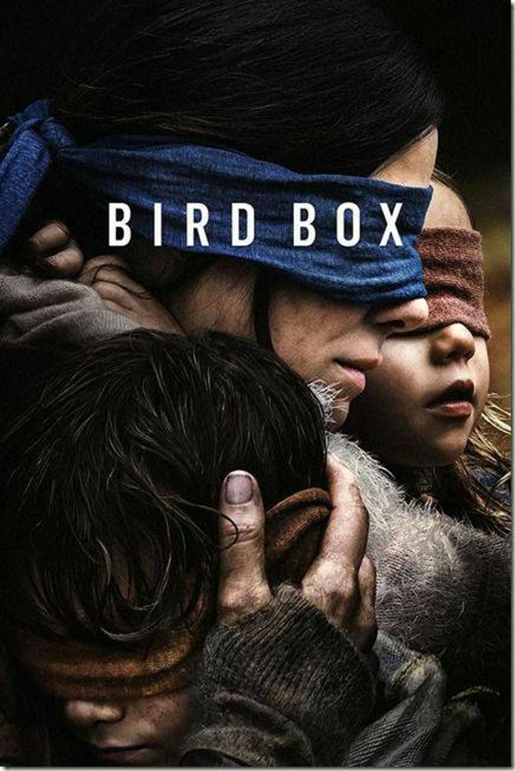 Fashion BIRD  BOX 