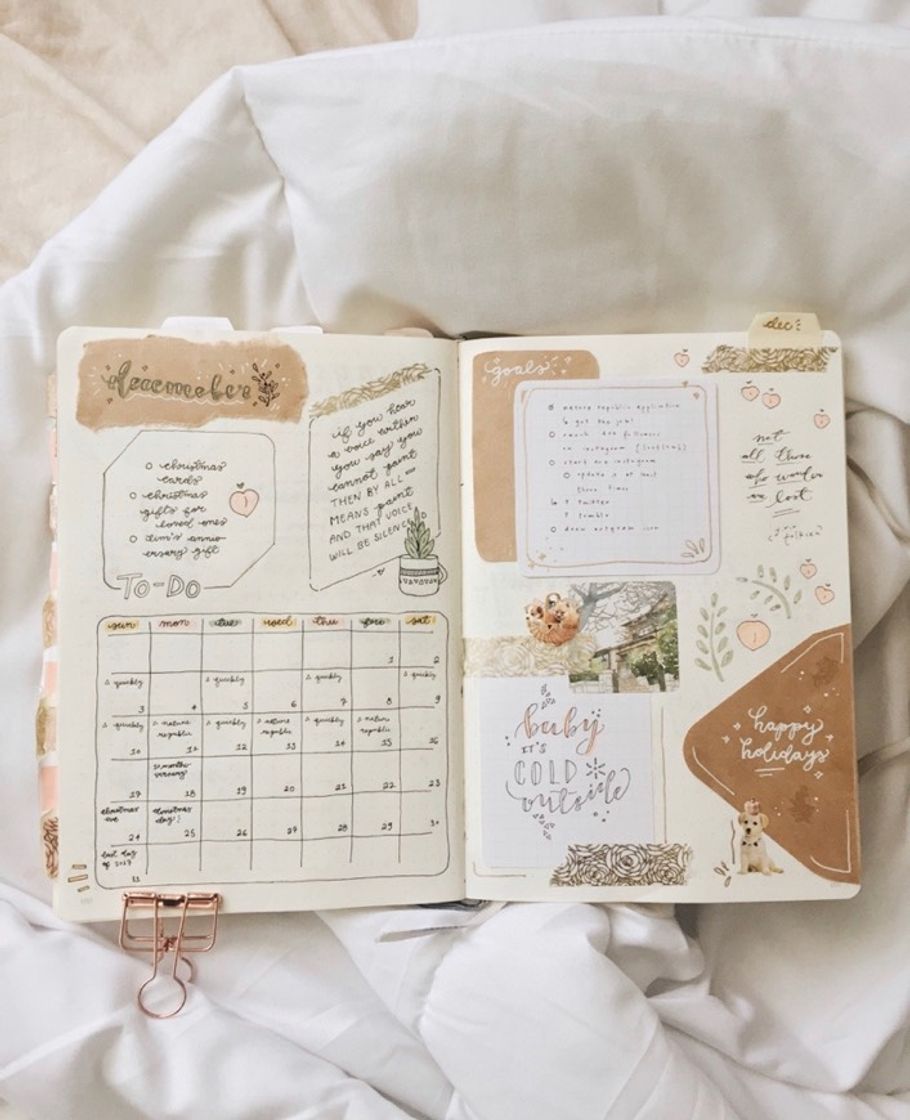 Books bullet journal / planner 