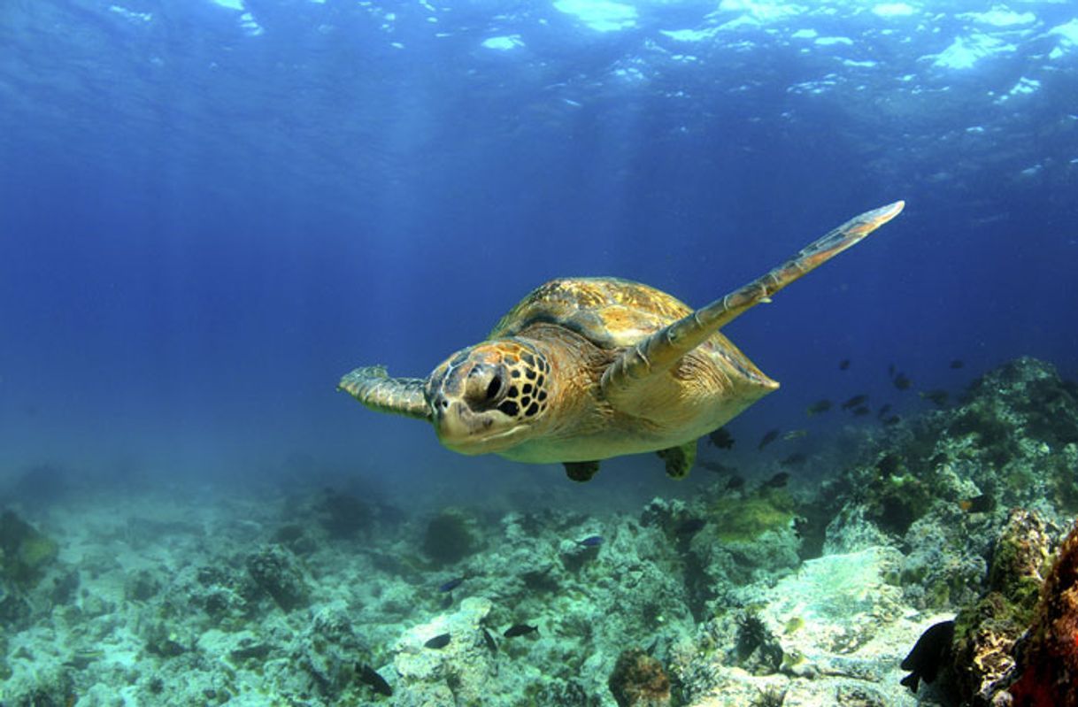 Lugares Islas Galápagos