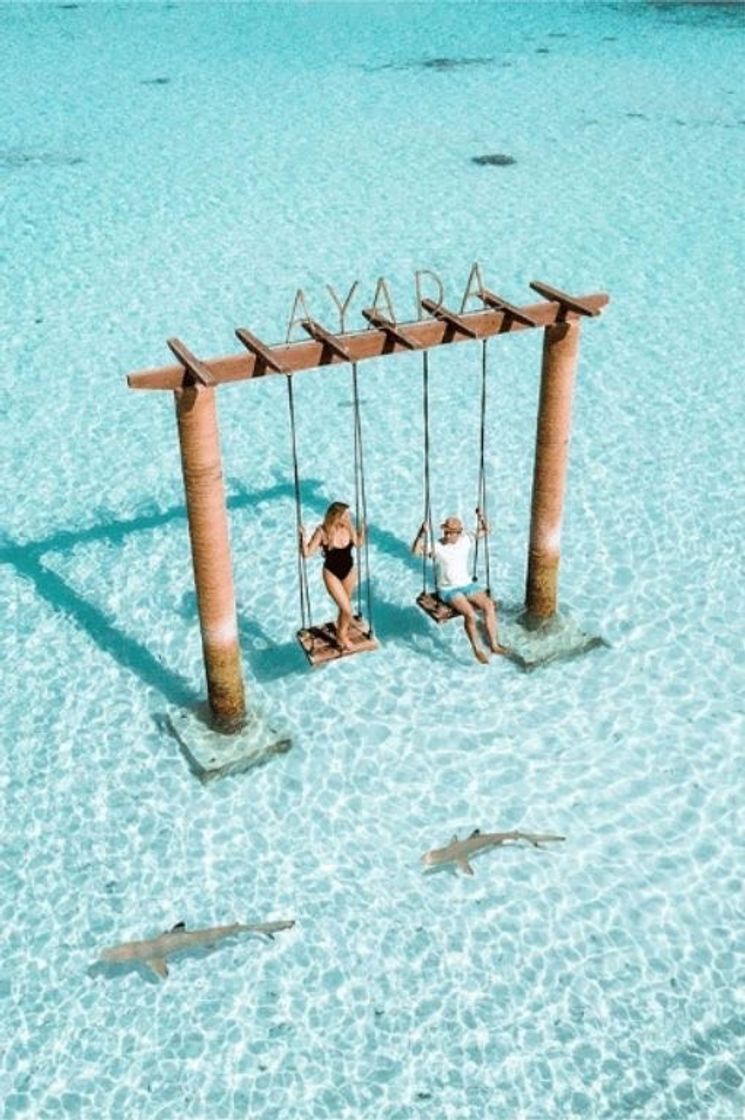 🌊