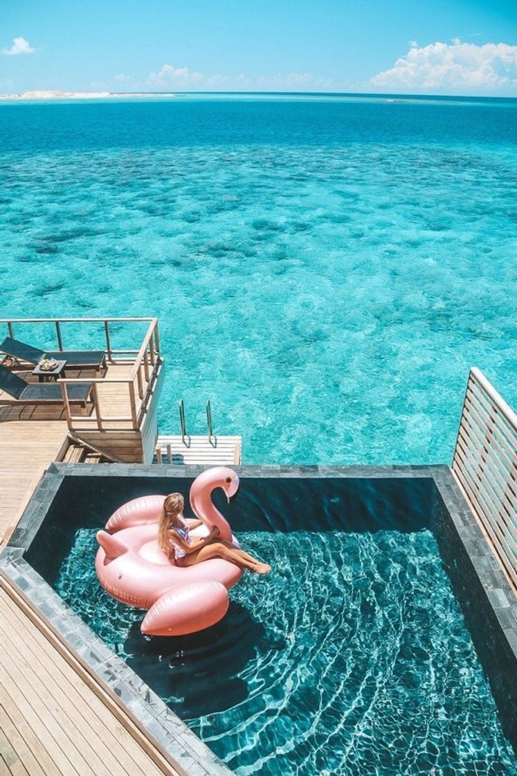 🌊