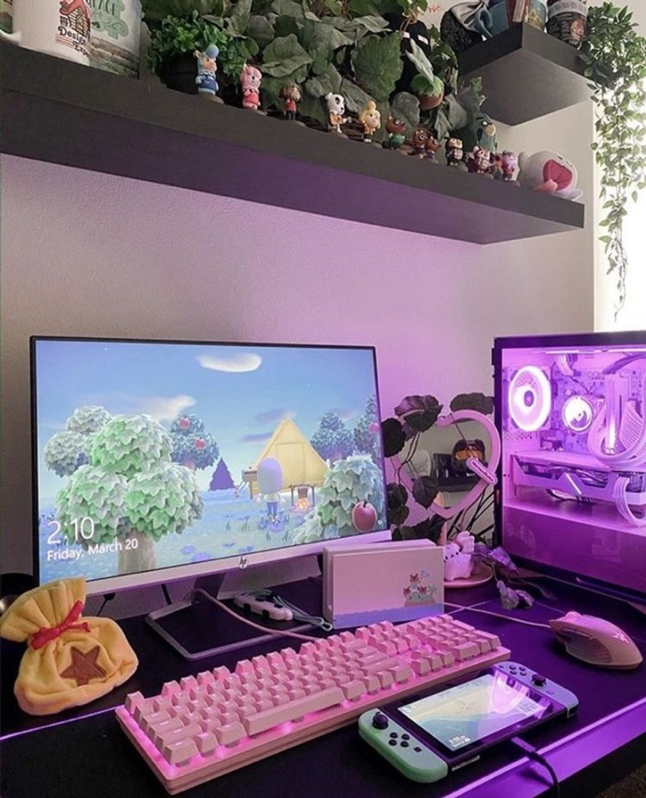 Social Setup Gamer ✨