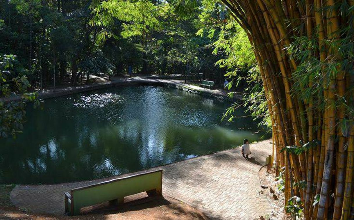 Lugar Bosque dos Buritis