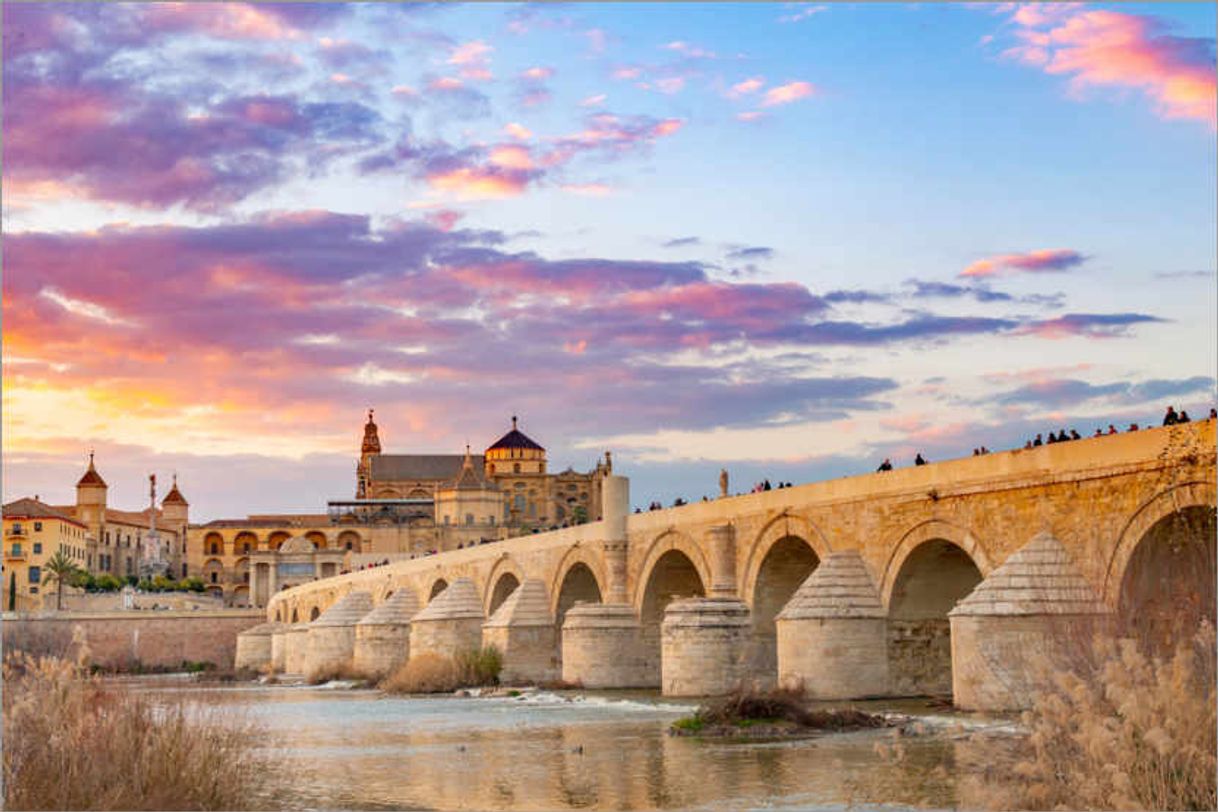 Place Puente Romano de Córdoba