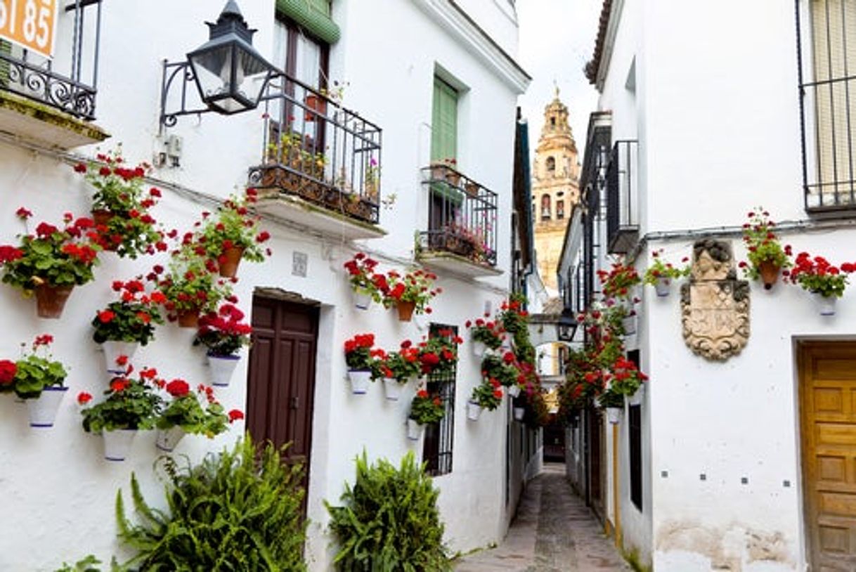 Place Calleja de las Flores