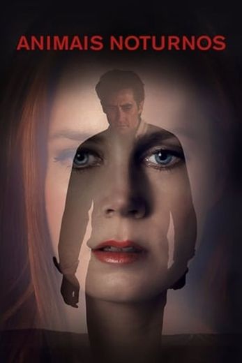 Nocturnal Animals