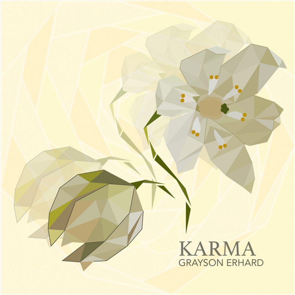 Canciones Karma