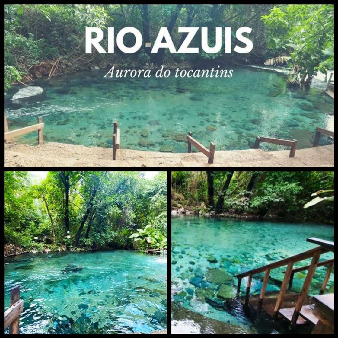 Moda  RIO AZUIS 🥰  AURORA - TO