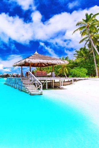 Maldivas 🌊🐚