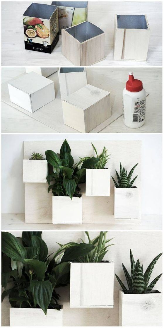 Potinho de planta 