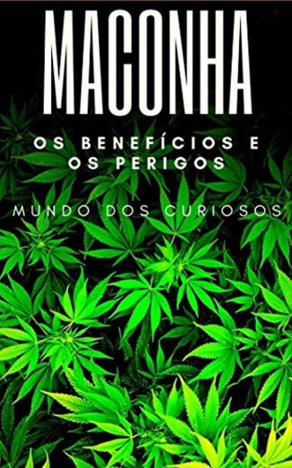 Maconha : Seus benefícios e perigos 