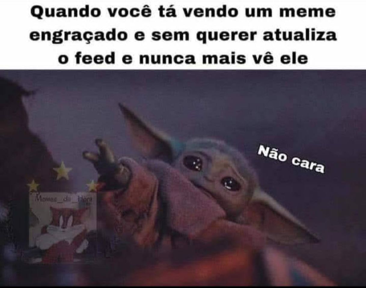 Moda Alegra seu dia 