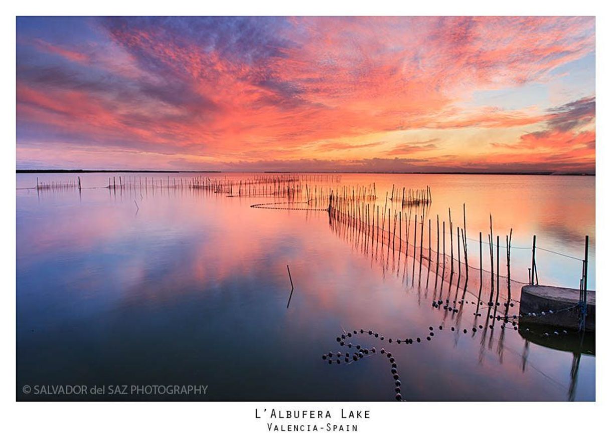 Lugar Parc Natural De l'Albufera