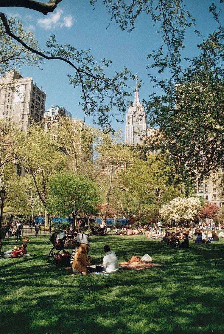 Place Central Park