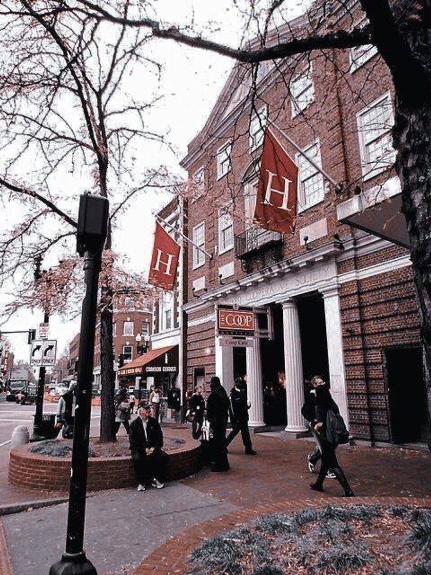 Place Universidad Harvard