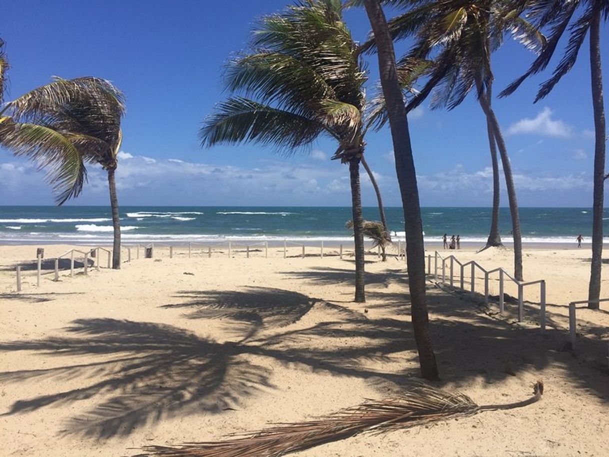 Restaurants Restaurante Flor Do Caribe Praia