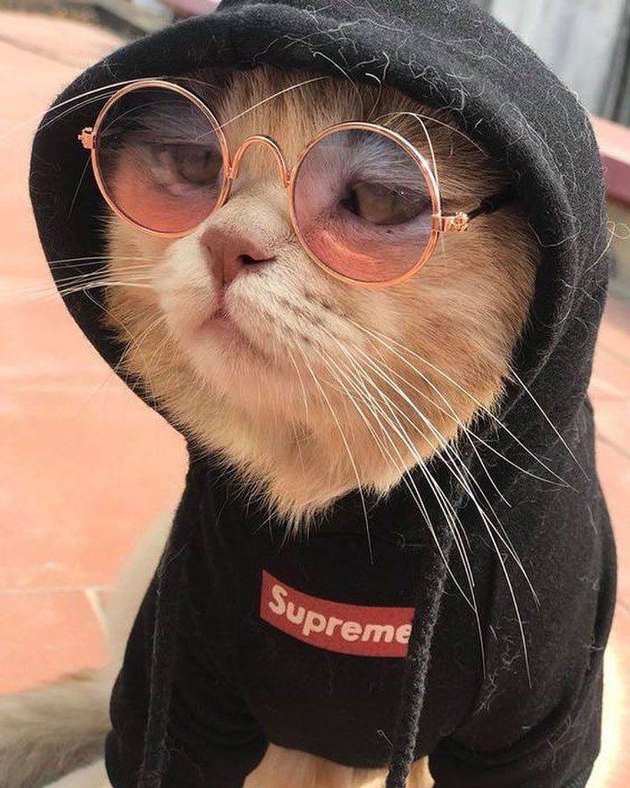 estilo é pa poucos