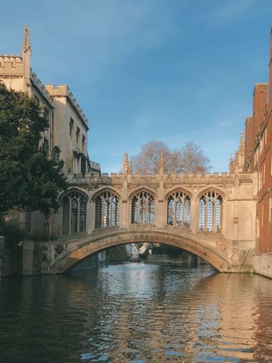 Cambridge- Inglaterra🎡