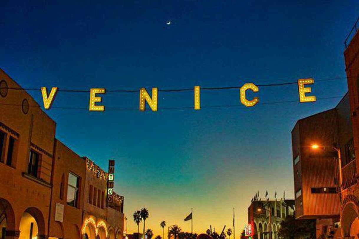 Social VENICE BEACH 