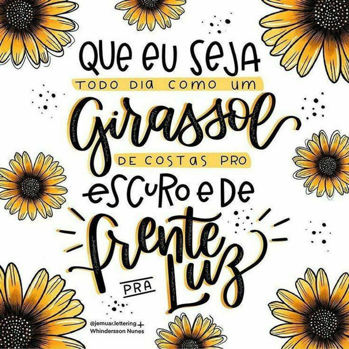 Social Motivação 