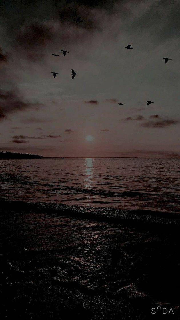 Social Wallpaper 