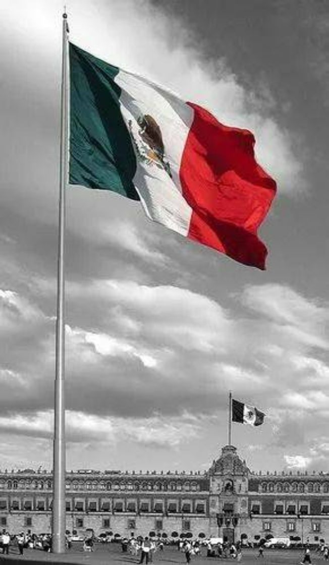 Social CDMX