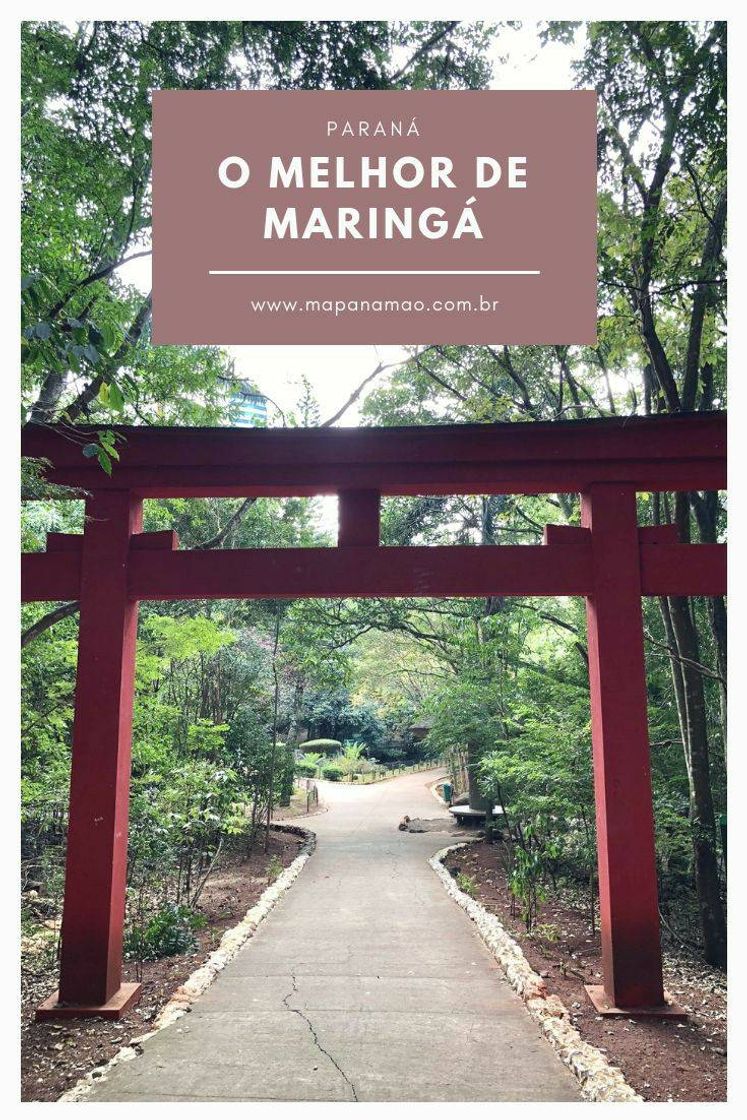 Social Maringá-Pr