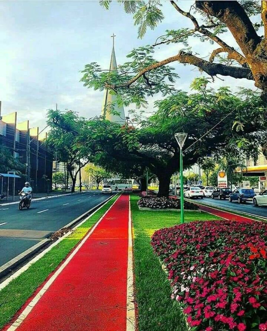 Social MÉXICO CITY