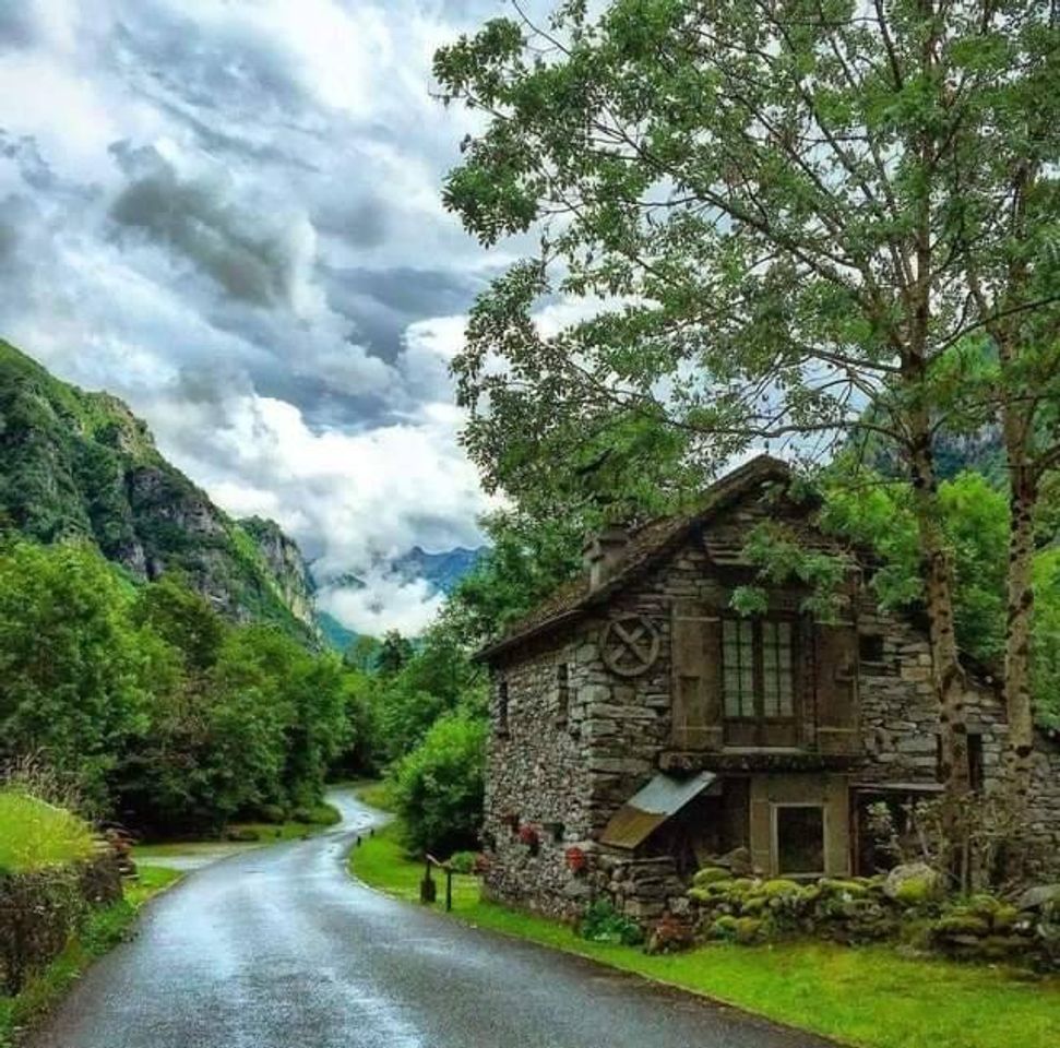 Place Suiza