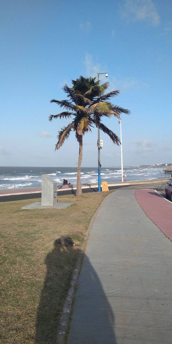 Place Sao Luis Maranhao