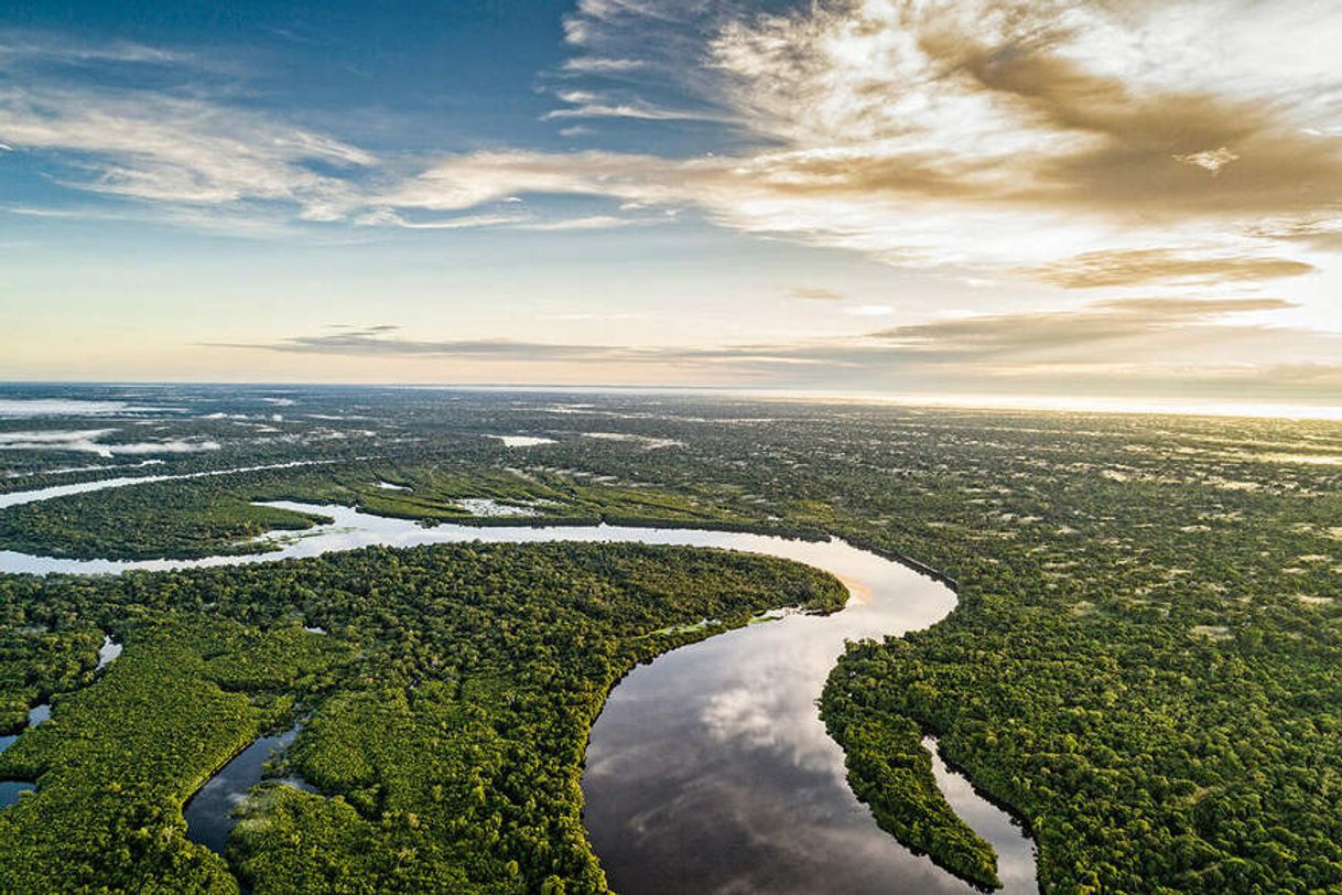 Lugar Amazonia