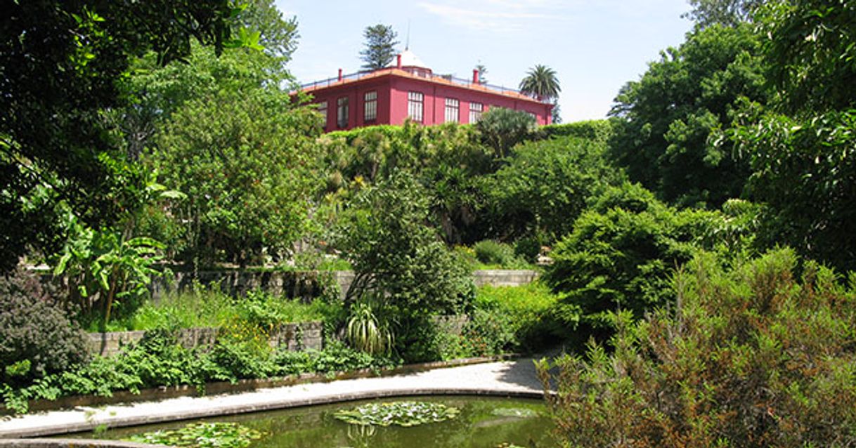 Lugar Jardín Botánico de la Universidad de Oporto