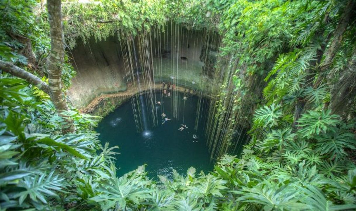 Restaurantes Cenotes