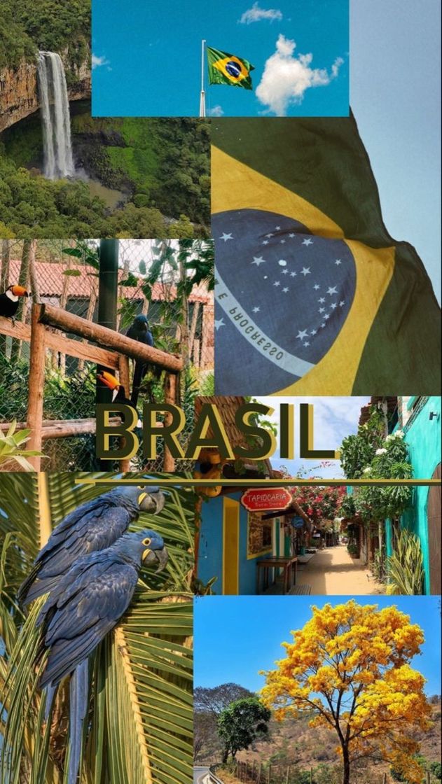 Lugar Brasil