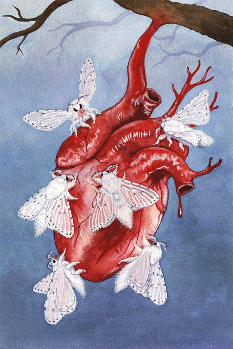 Social aesthetic/arte/papel de parede