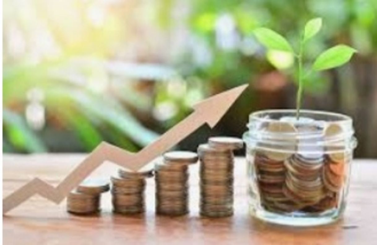 Página de inversión segura, cambia tu futuro