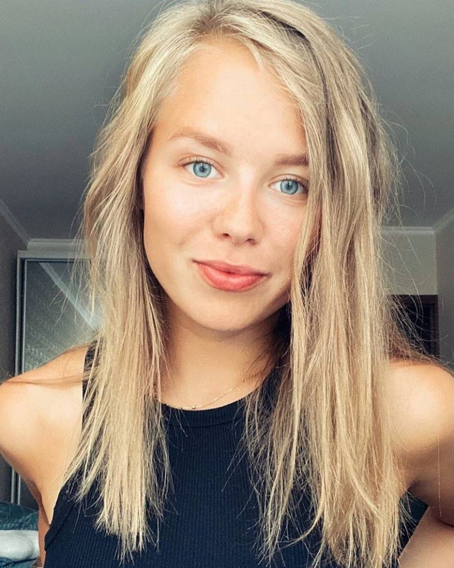 Social Victoria seagull