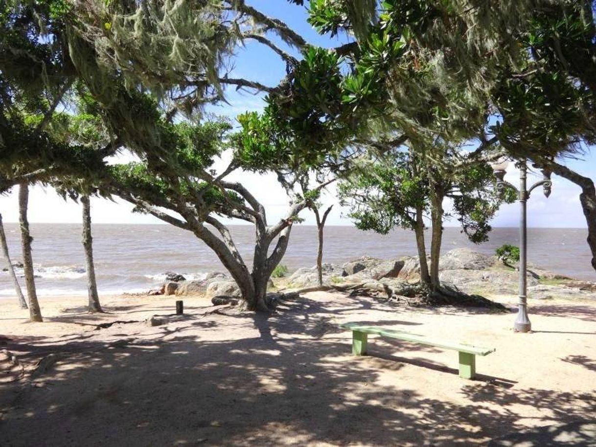 Moda  Praia da Barrinha, São Lourenço do Sul, Rio Grande do Sul