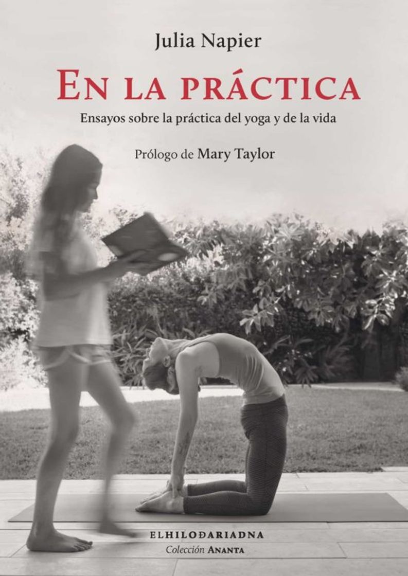 Libro En la práctica