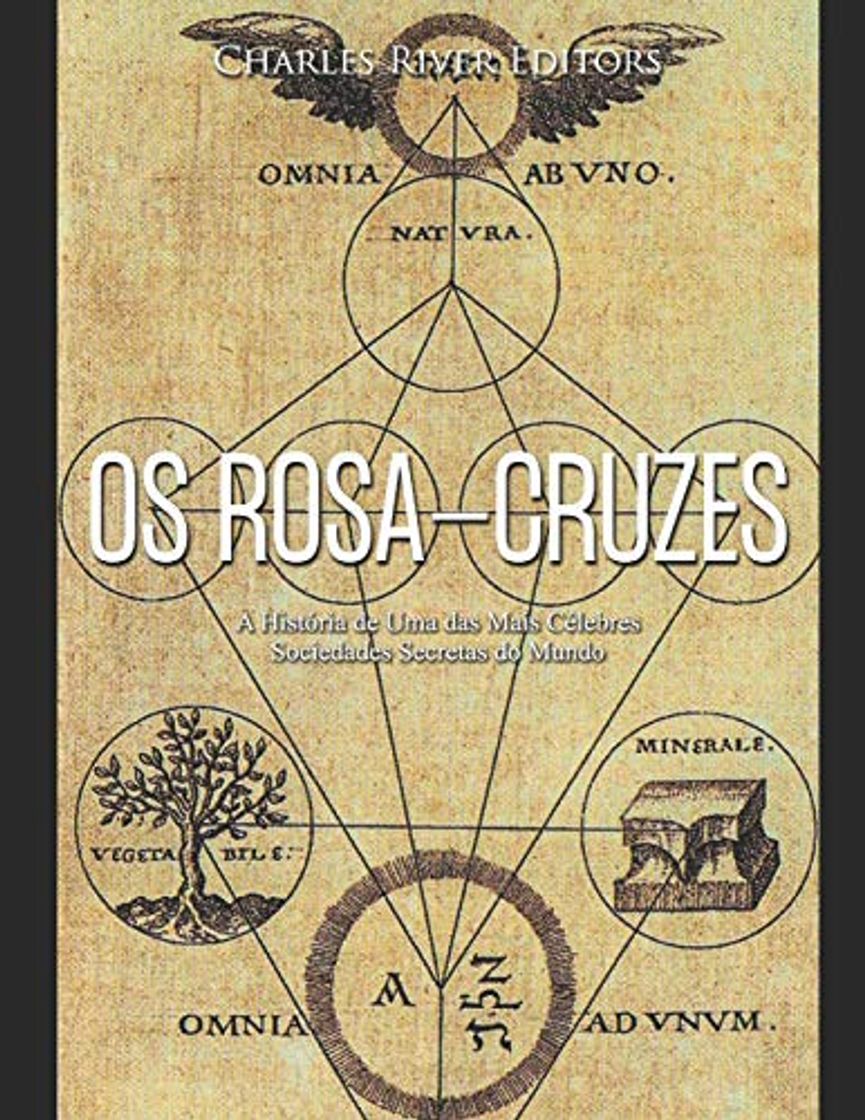 Libro Os Rosa