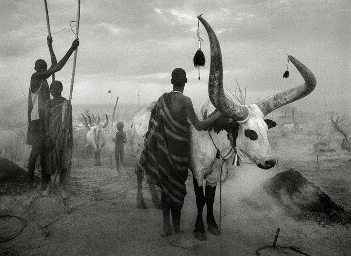 Fashion Sebastião Salgado