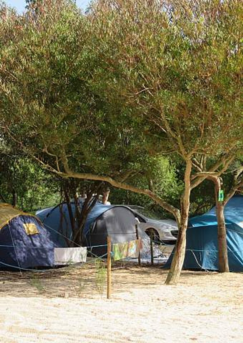 Lugar Camping Villa Park Zambujeira