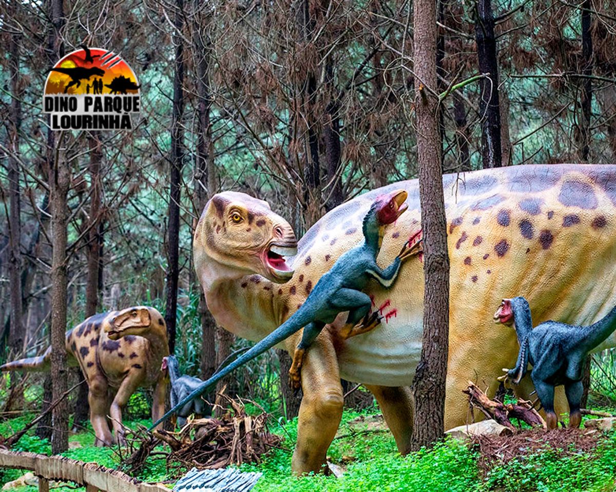 Lugar Dino Parque Lourinhã