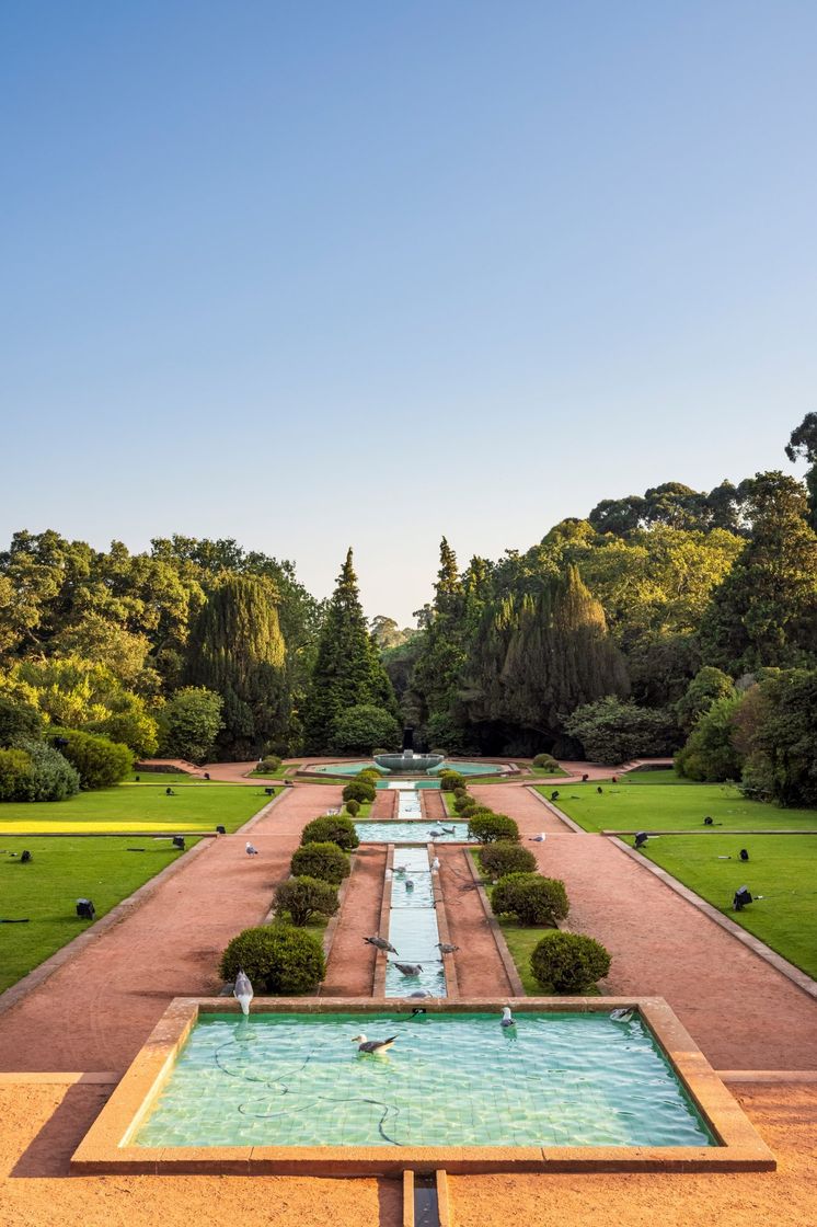 Lugar Parque de Serralves