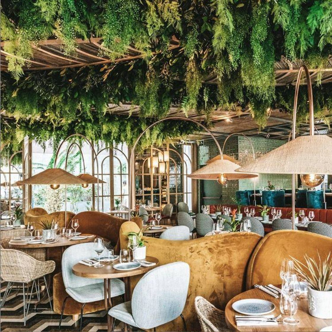 Restaurants Restaurante Botania