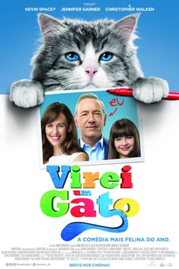 Movie Siete vidas, este gato es un peligro